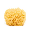 Natural Sea Sponge